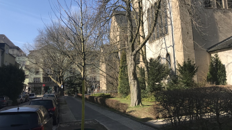 Über neue Straßenbäume im Ehrenfeld freut sich die örtliche CDU