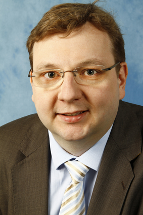 Dirk Schmidt, Ratsmitglied